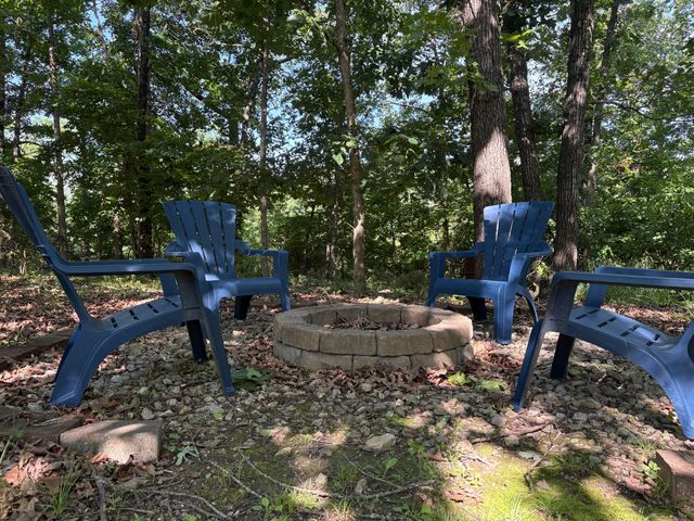 190 Blossom Valley, Branson, MO 65616