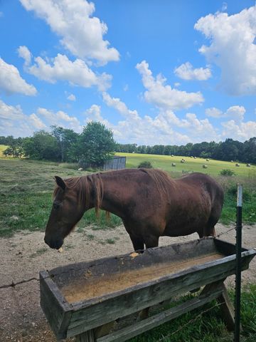 1404 Harlow Road, Summersville, MO 65571