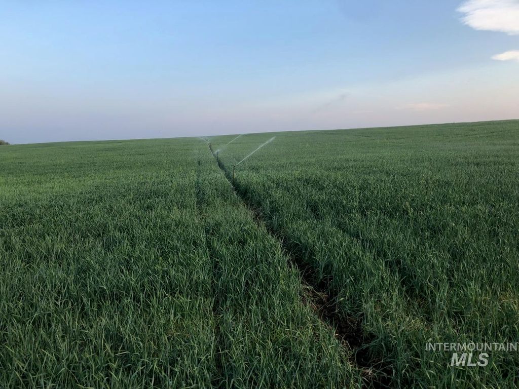 6451 Little Freezeout Rd., Caldwell, ID 83607 photo 36