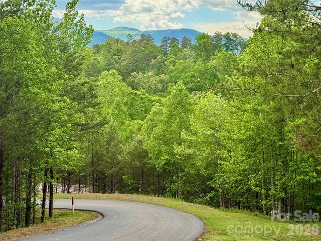 270 Rock Ledge Drive 270, Lake Lure, NC 28746
