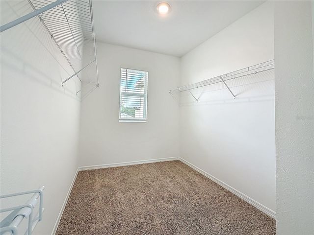 35541 KINSEY POINT, Zephyrhills, FL 33541