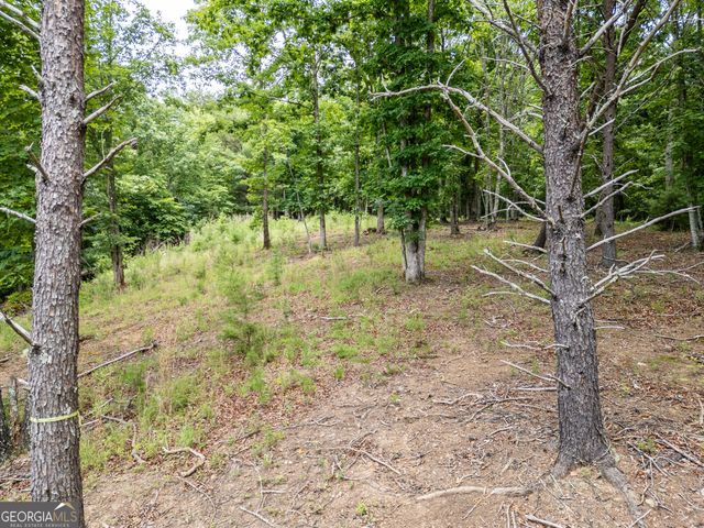 LT 1 Stormy Ridge, Brasstown, NC 28902