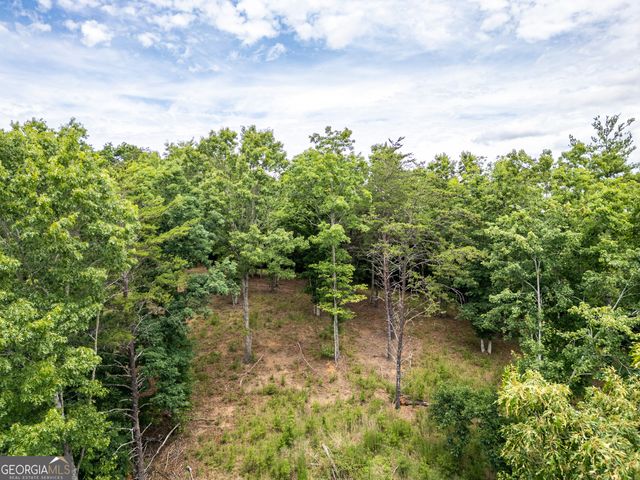 LT 1 Stormy Ridge, Brasstown, NC 28902