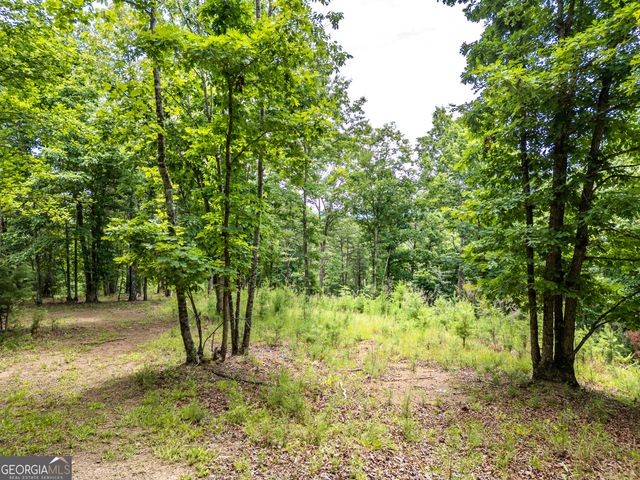 LT 1 Stormy Ridge, Brasstown, NC 28902