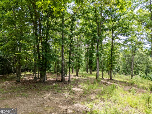 LT 1 Stormy Ridge, Brasstown, NC 28902