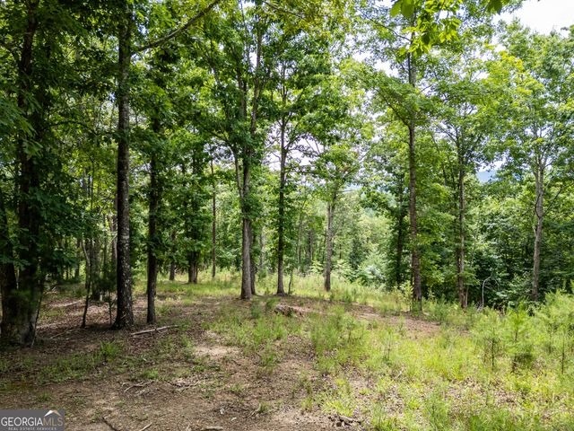LT 1 Stormy Ridge, Brasstown, NC 28902