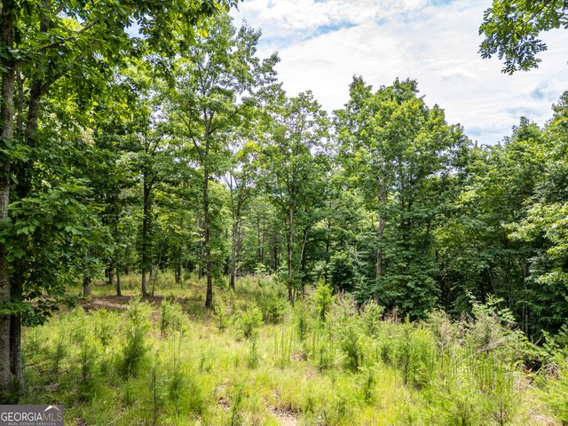 LT 1 Stormy Ridge, Brasstown, NC 28902