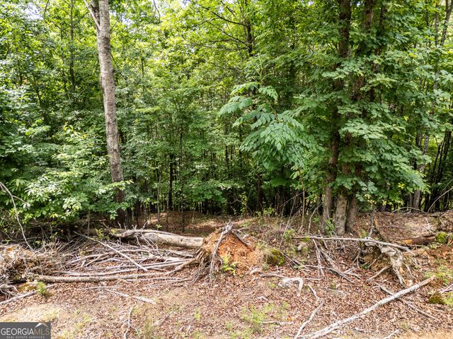 LT 1 Stormy Ridge, Brasstown, NC 28902