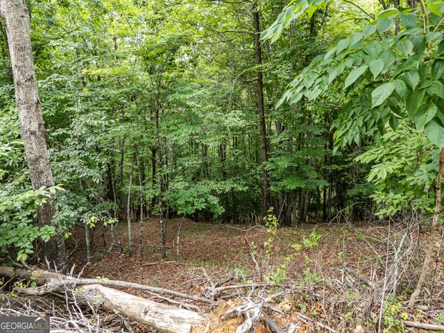 LT 1 Stormy Ridge, Brasstown, NC 28902
