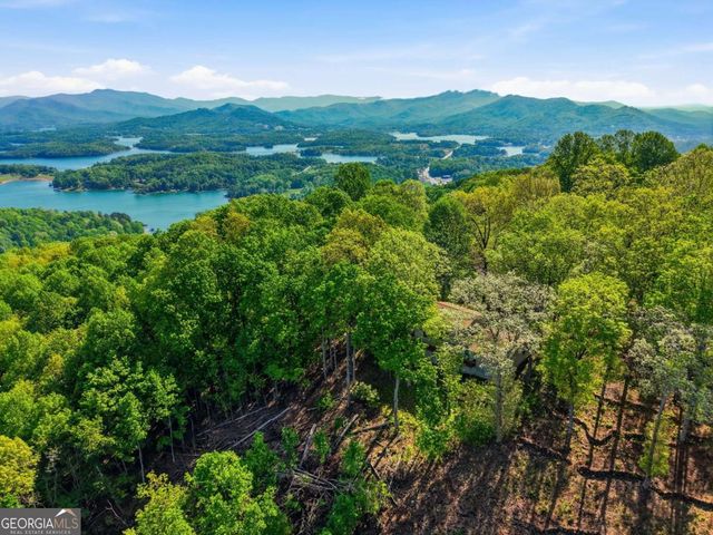 860 Frog Pond Road 57, Hiawassee, GA 30546