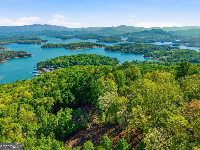 860 Frog Pond Road 57, Hiawassee, GA 30546