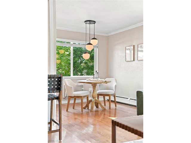 1151 N Marion St 301, Denver, CO 80218