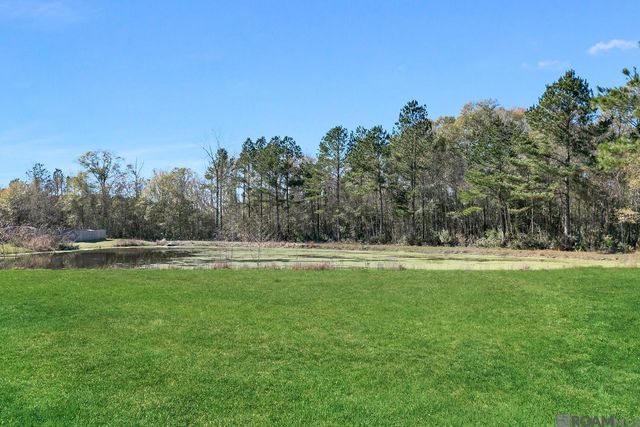 26197 Bobby Gill Rd, Denham Springs, LA 70726