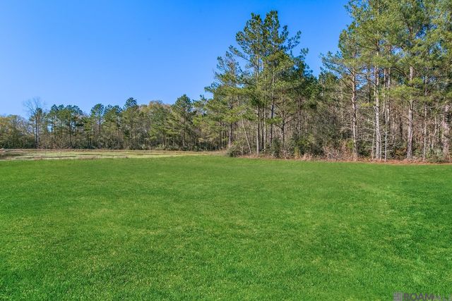 26197 Bobby Gill Rd, Denham Springs, LA 70726