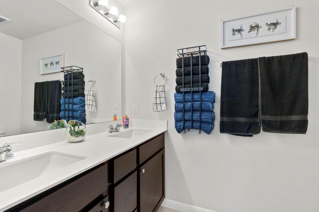 16722 Sonoma Breeze DR, Manor, TX 78653