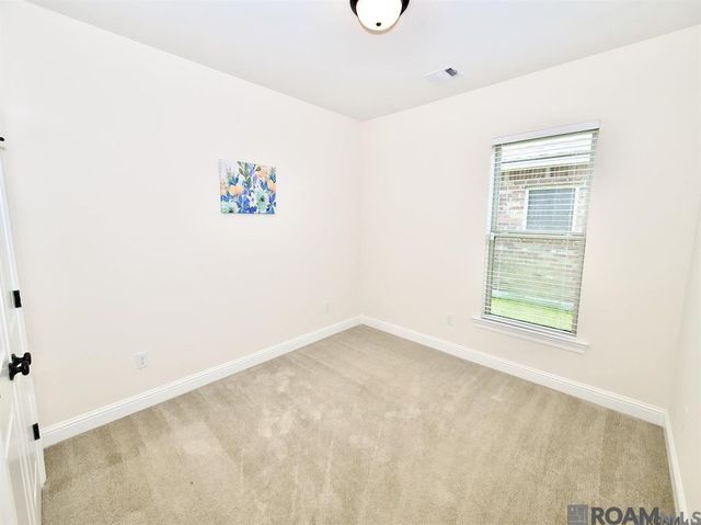 17065 White Ibis Ave, Prairieville, LA 70769