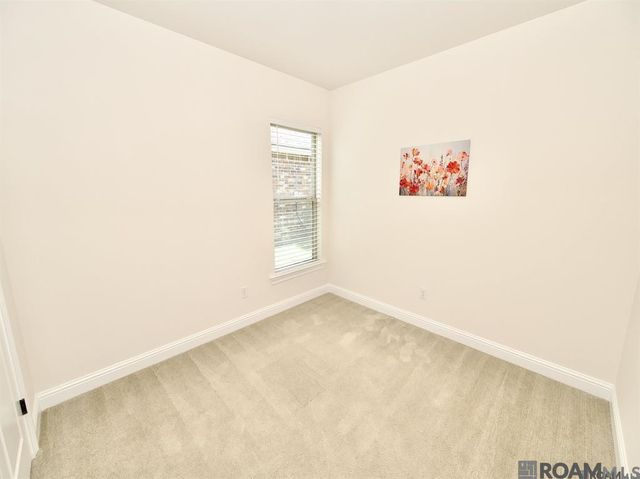 17065 White Ibis Ave, Prairieville, LA 70769