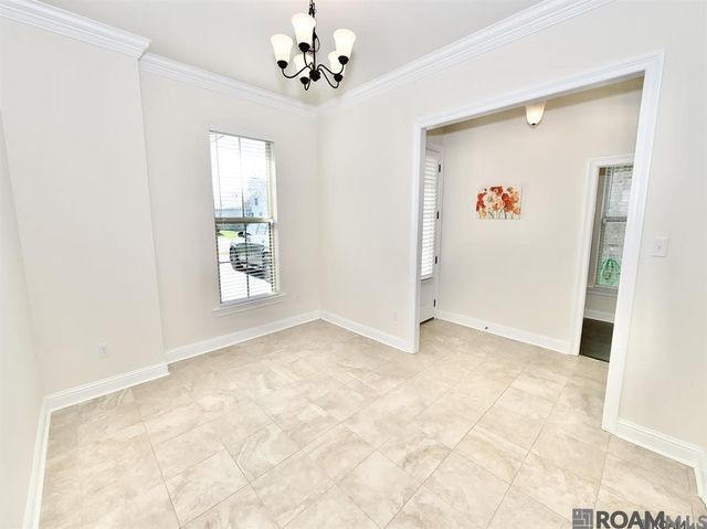17065 White Ibis Ave, Prairieville, LA 70769