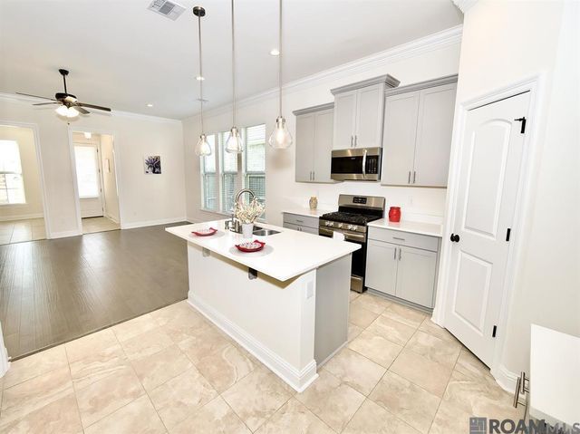 17065 White Ibis Ave, Prairieville, LA 70769