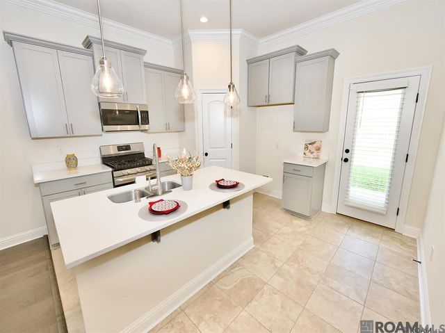 17065 White Ibis Ave, Prairieville, LA 70769