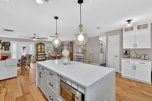 1762 HAMLIN COURT, Mount Dora, FL 32757