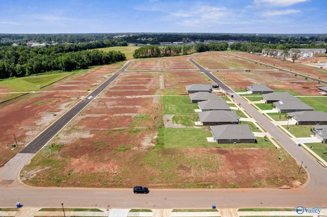 15356 Lapwing Cove, Athens, AL 35611