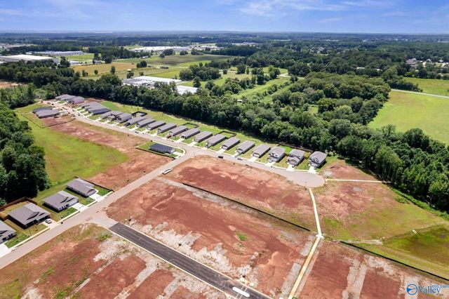 15356 Lapwing Cove, Athens, AL 35611