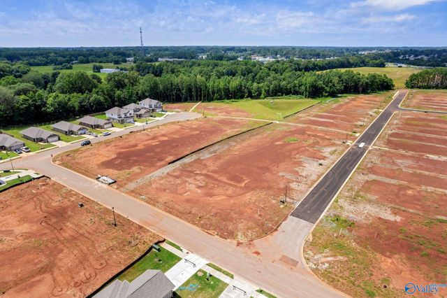 15356 Lapwing Cove, Athens, AL 35611