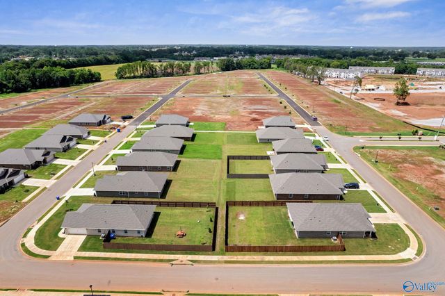 15356 Lapwing Cove, Athens, AL 35611