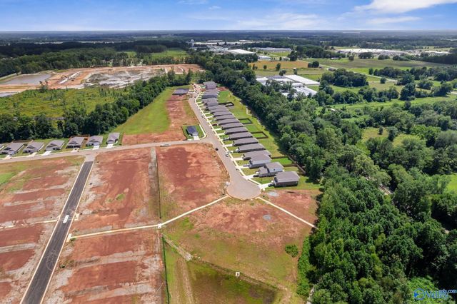 15356 Lapwing Cove, Athens, AL 35611