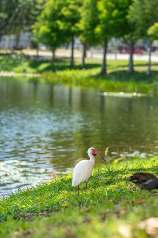 132 MIRROR LAKE 403, St Petersburg, FL 33701