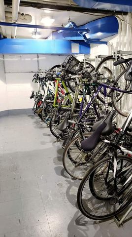 535 N Michigan Avenue 2615, Chicago, IL 60611