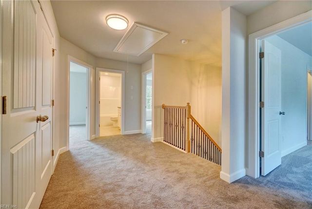 5815 Azalea Garden RD, Norfolk, VA 23518