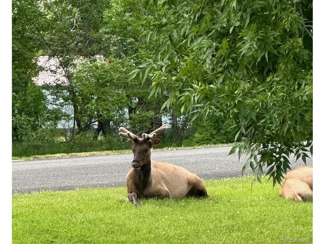 3518 Manzanita Dr, Loveland, CO 80537