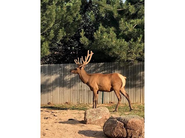 3518 Manzanita Dr, Loveland, CO 80537