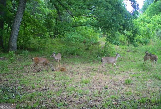 1044 Hutchings Mountain Road, Rockmart, GA 30153