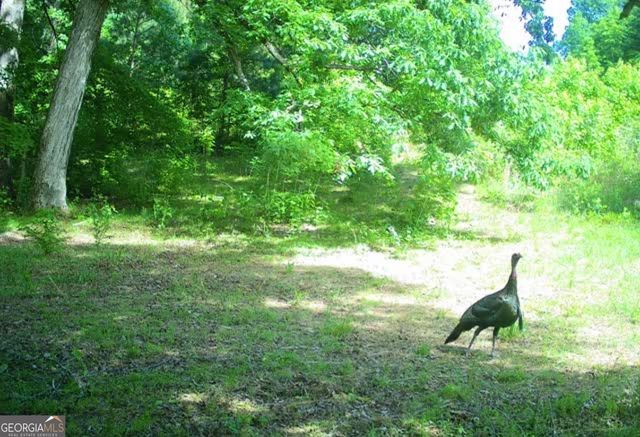 1044 Hutchings Mountain Road, Rockmart, GA 30153