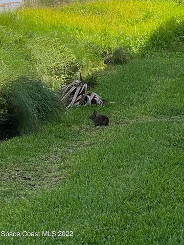 199 Highway A1a C103, Satellite Beach, FL 32937