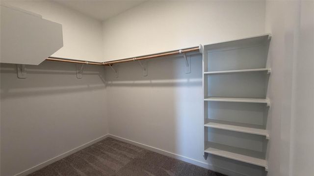 16503 Mesquite Field Drive, Hockley, TX 77447