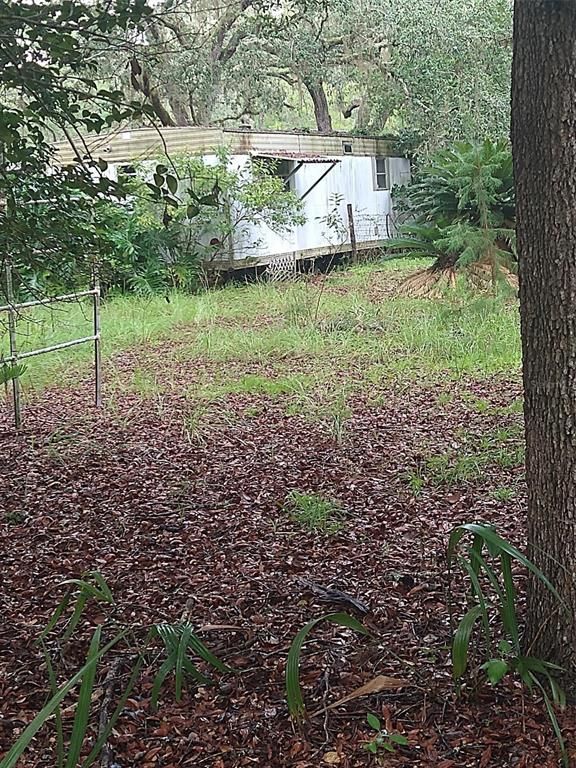 23818 NE 140TH AVENUE, Fort Mc Coy, FL 32134