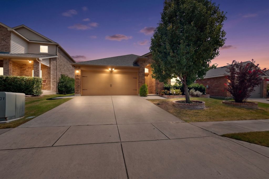 1119 Garnet Street, Princeton, TX 75407