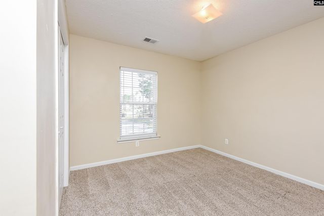 100 Cane Brake Drive, Columbia, SC 29223