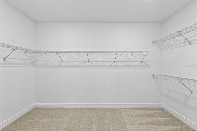 6244 29TH STREET N, St Petersburg, FL 33702