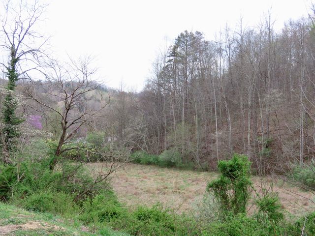 875 McNeil-Corn Creek Road, Rockholds, KY 40759
