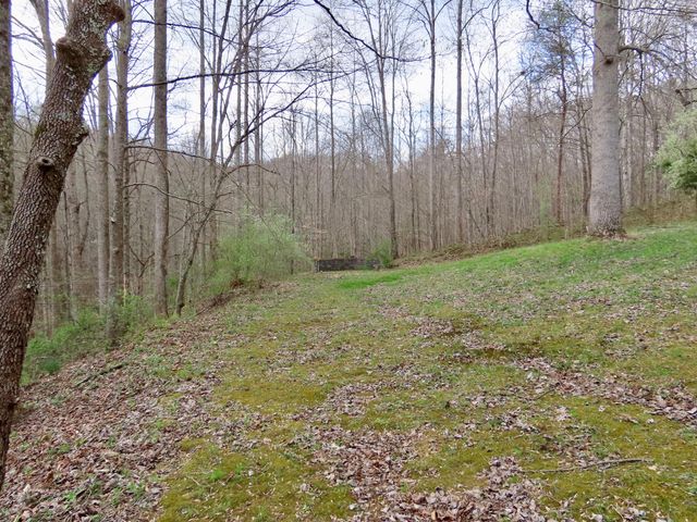 875 McNeil-Corn Creek Road, Rockholds, KY 40759