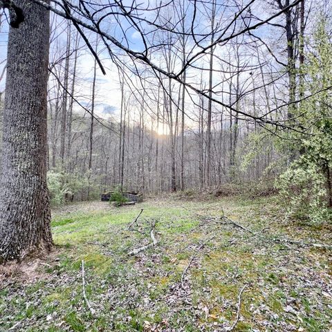 875 McNeil-Corn Creek Road, Rockholds, KY 40759