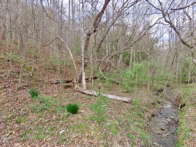 875 McNeil-Corn Creek Road, Rockholds, KY 40759
