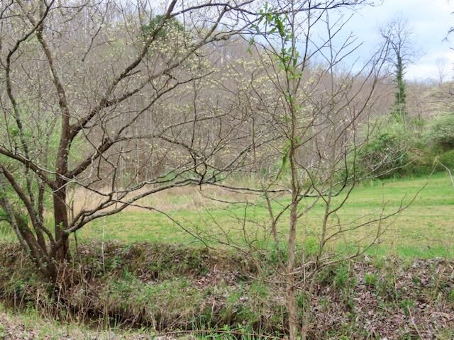 875 McNeil-Corn Creek Road, Rockholds, KY 40759