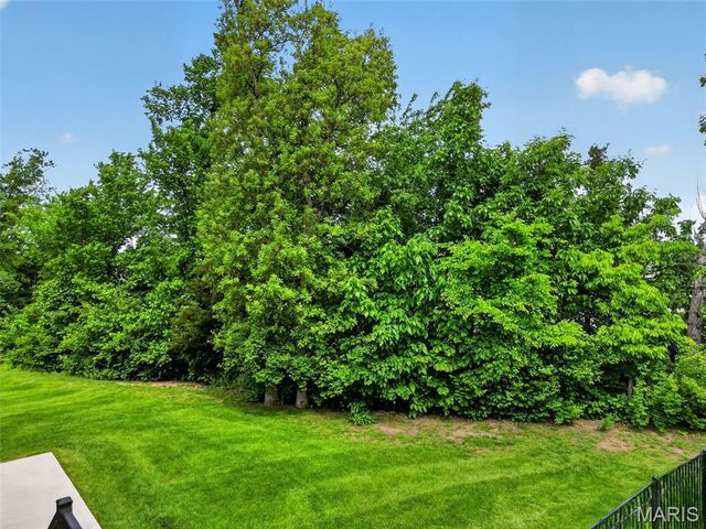 507 Stonewolf Creek Drive, Wentzville, MO 63385