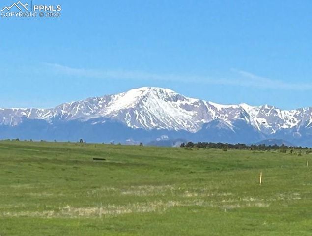 19250 Mariah Trail, Colorado Springs, CO 80908